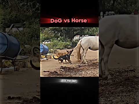 Cow and Horse vs Dog🥶#animals#wildlife#cow#horse#dog#shorts#viralshorts