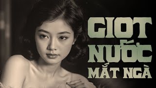 Lk Tình Ca Phòng Trà – Giai Điệu Ngọt Ngào - Tình Khúc Nhạc Xưa Hải Ngoại