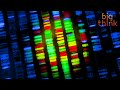 Human Longevity Inc. and Genomic Advancements