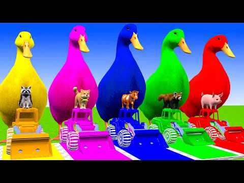 5 Giant Duck Cartoon, Cow, Elephant, Tiger, Dinosaur, Paint Wild Animals Crossing Fountain Animation