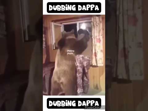 Paramooo ๐คฃ #funny #shorts #comedy #shortsfeed #funnyanimals #animals #pets #petlover #dubbingdappa
