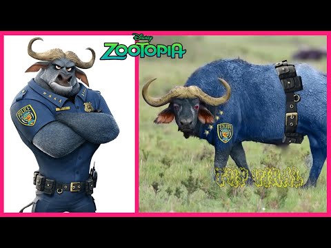 ZOOTOPIA In Real Life 💥 Animal Version 👉@TupViral