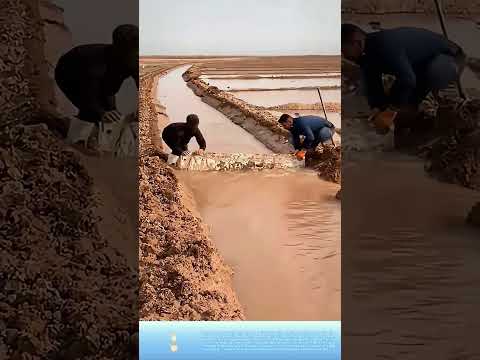 Cú đâm dứt khoát: Mẹo chặn dòng nước vào ruộng chỉ trong tích tắc