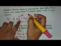Understanding Bare Infinitives in Grammar