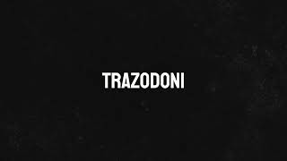 "Trazodoni" | Hard Deep Rap Instrumental 2025