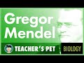 Exploring the Foundations of Genetics through Mendel's Experiments