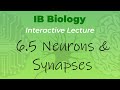 Neuroscience Concepts and Functions