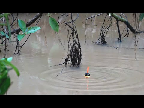 Siapapun belum pernah memasuki spot mancing pedalaman ini !!! #SG-446