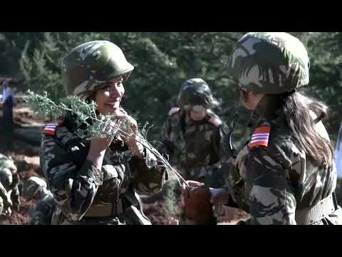 YouTube video thumbnail: Algeria Launches Campaign to Plant one Million Trees in a day 