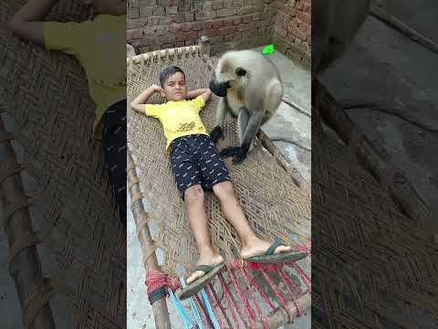 Hanuman