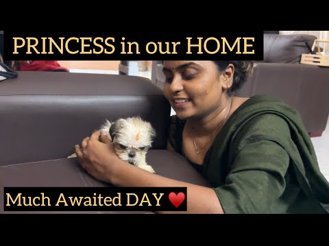 Welcoming PRINCESS to our HOME ♥️