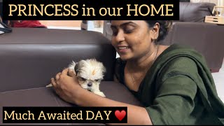 Welcoming PRINCESS to our HOME ♥️