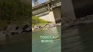 RECORDAR ES VOLVER A VIVIR