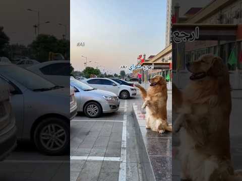 كلوب يعلم البشر😂 #دبلجة #اكسبلور #مدبلج