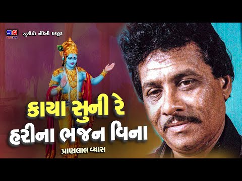 Kaya Suni Re Hari Na Bhajan Vina || Pranlal Vyas || Gujarati Bhajan #krishnabhajan #devotional