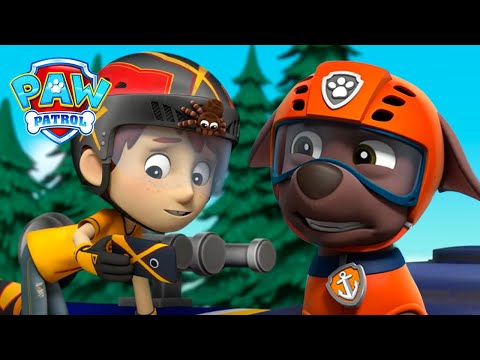 Zuma salva Danny de uma aranha amigável - Patrulha Pata PAW Patrol Episódio Português