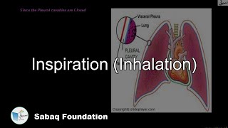 Inspiration (Inhalation)
