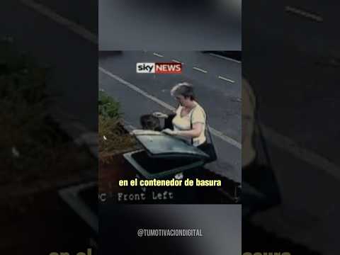 METIÓ en un contenedor de basura a una GATITA y pensó que nadie la vio 👀 #datoscuriosos