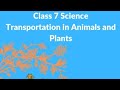 Human Body Systems and Functions