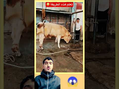 الطريقة التي كانوا يخبؤونها عليك لسنوات ! #شورتس #دويتو #reaction #كوميديات #اكسبلور #fyp #viral