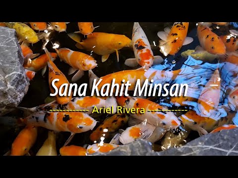 Sana Kahit Minsan – KARAOKE VERSION – in the style of Ariel Rivera