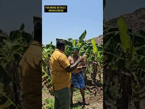 விவசாயிகளுக்கு நண்பனான கருவிகள் வாங்க @gokulagritech-sakthi அணுகுங்கள் 9944689548