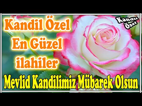 🌹Mevlid Kandiline Özel İlahiler💐 Karışık En Güzel İlahiler - Yeni İlahi Dinle💐Hayırlı Dinlemeler