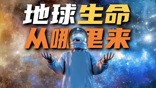 地球生命從哪裡來？科學解析4大生命起源假說 | 雅桑了嗎