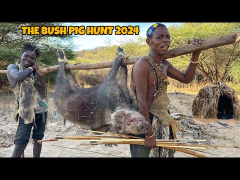 BLOOD and COURAGE: The Hadzabe vs. a Wild Bush Pig!