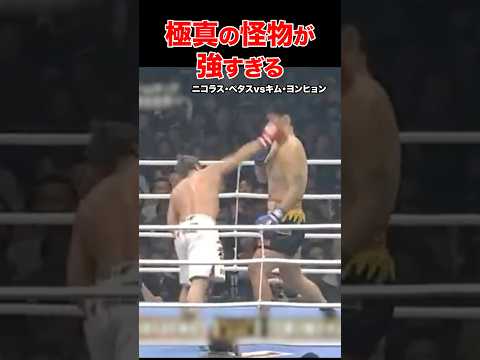 K-1に極真の怪物現る!圧巻の一撃必殺KO #shorts#アンディフグ#格闘技#ko
