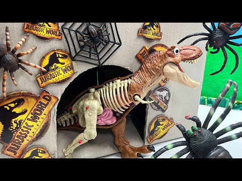Tyrannosaurus Anatomy set With Spider- Dinosaur Battle Video