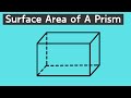 Surface Area of Prisms Concepts