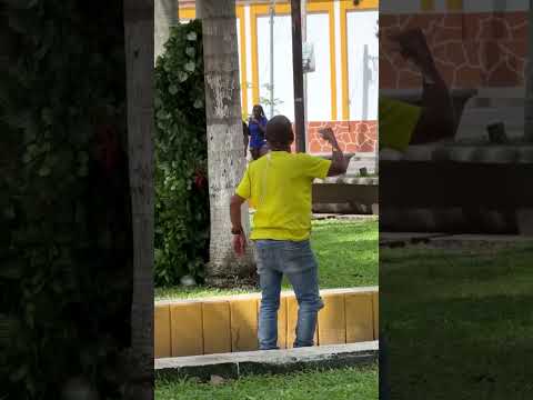 LOS PÁJAROS CAGONES 🦜💩🤣 broma