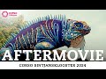 Aftermovie Corso 2024