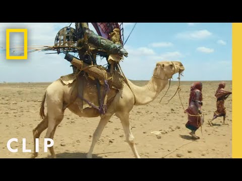 Hitching a ride with the Gabra tribe's camel train | Primal Survivor: Extreme African Safari
