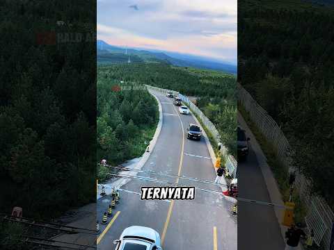 Dikira kereta api sungguhan ternyata ini