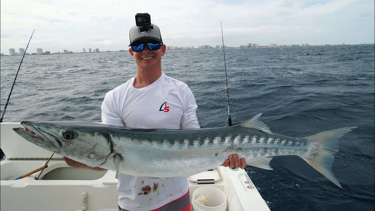 That Was CLOSE. Grabbed MONSTER Barracuda by Hand