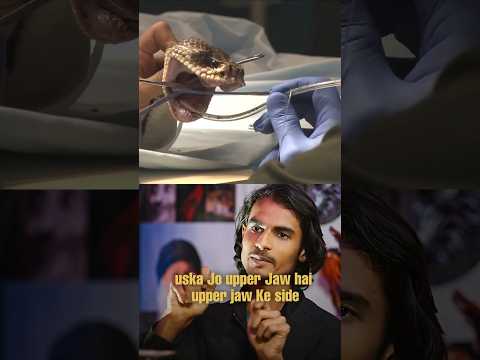 MAHASHIVRATRI -A snakes day for torture #utkarshgaurpodcast #utkarshgaurclips