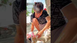 spread kindness and love(lan tỏa lòng tốt và tình yêu)#cats #catlover #cat