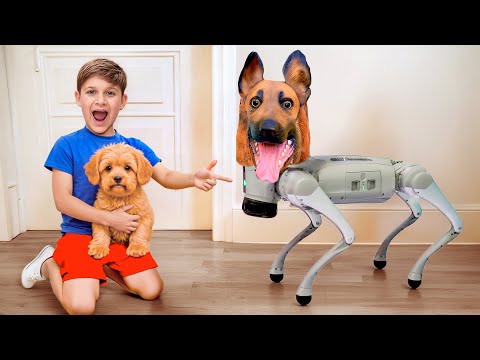 Perro real contra perro robot