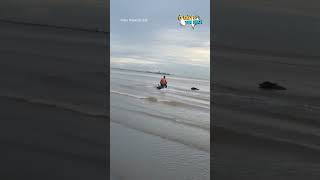 Giải cứu thành công 4 con trâu bị lũ cuốn “đi lạc” xuống biển Cửa Lò, người dân thở phào nhẹ nhõm