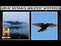 Exploring Mysteries and Phenomena