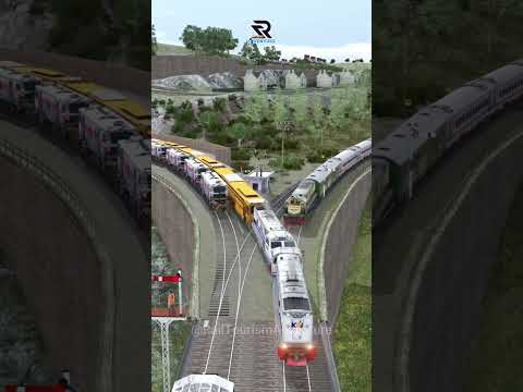 Kereta Api Cepat Melintasi Persilangan 5 Kereta Api #train #shorts #railway #trending