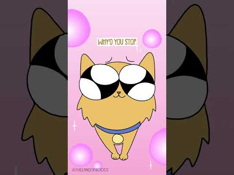 My cat gives me mixed signals