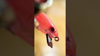 Can you make fishing lure from a toy? #fishinglure #fish #plasticlure  #softlure #fishing 