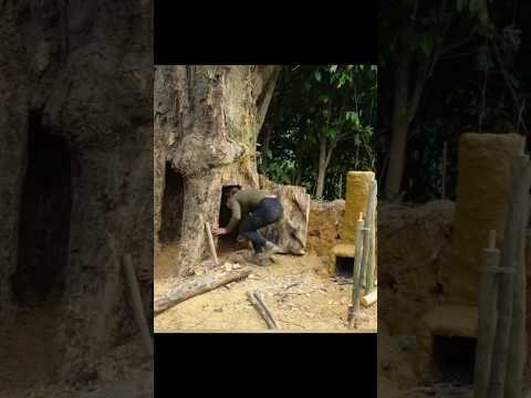 the girl alone made a safe shelter in an ancient tree stump #survival #bushcraft #building #shorts