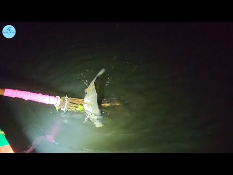 Best boat fishing video | Night fishing video | #shorts #fishing #boatfishing #night_fishing