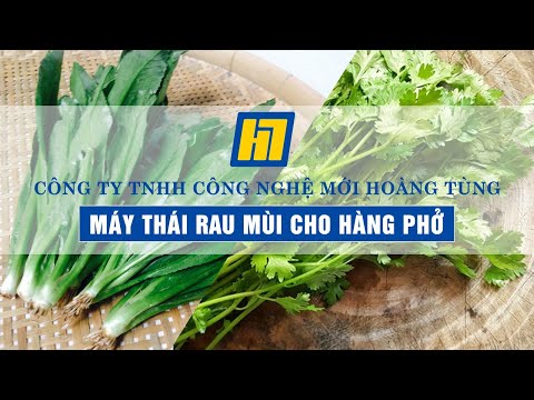 Máy Chẻ Hành Củ
