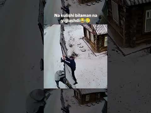 2 ноября 2025 г.