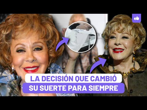 Silvia Pinal: Así Fueron Sus Últimas Horas De Vida